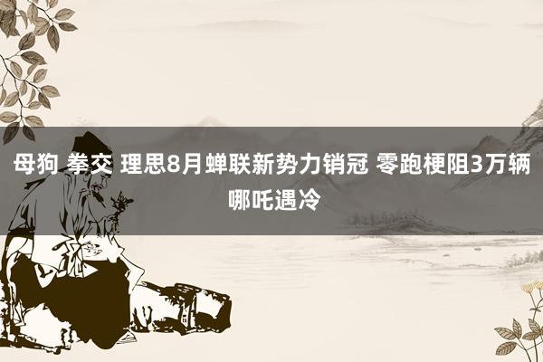 母狗 拳交 理思8月蝉联新势力销冠 零跑梗阻3万辆 哪吒遇冷