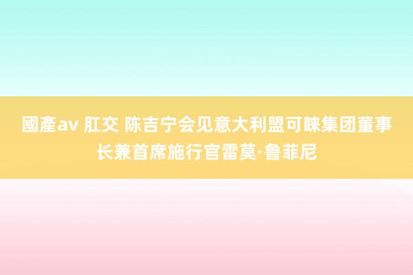 國產av 肛交 陈吉宁会见意大利盟可睐集团董事长兼首席施行官雷莫·鲁菲尼
