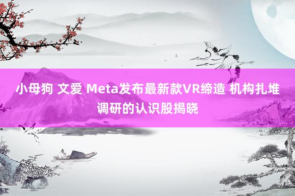 小母狗 文爱 Meta发布最新款VR缔造 机构扎堆调研的认识股揭晓
