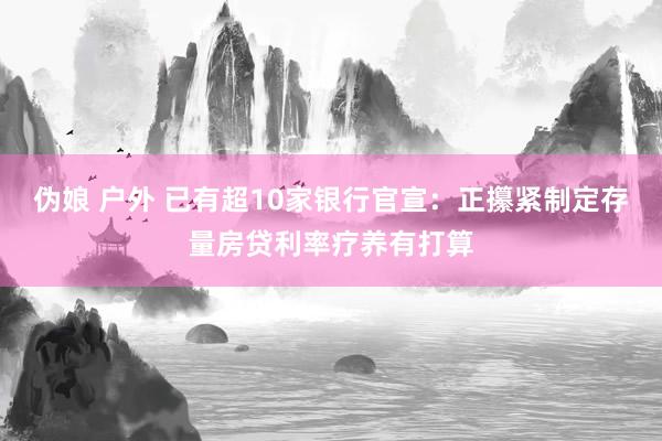 伪娘 户外 已有超10家银行官宣：正攥紧制定存量房贷利率疗养有打算