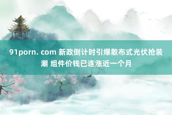 91porn. com 新政倒计时引爆散布式光伏抢装潮 组件价钱已连涨近一个月