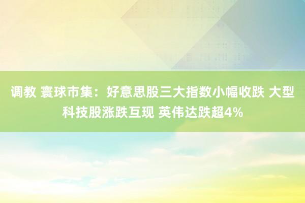 调教 寰球市集：好意思股三大指数小幅收跌 大型科技股涨跌互现 英伟达跌超4%