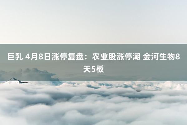 巨乳 4月8日涨停复盘：农业股涨停潮 金河生物8天5板