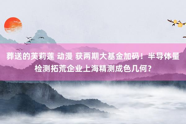 葬送的芙莉莲 动漫 获两期大基金加码！半导体量检测拓荒企业上海精测成色几何？